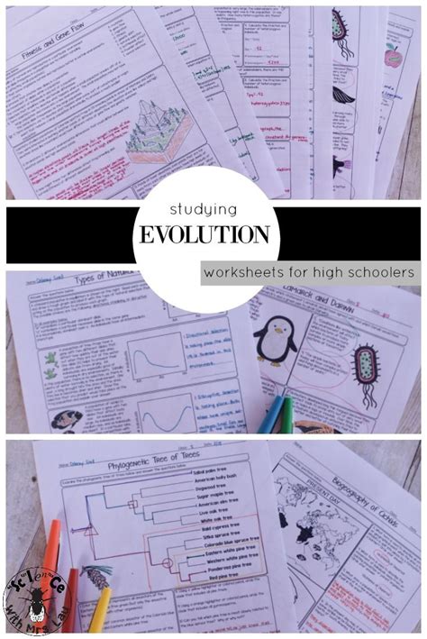 Types Of Evolution Worksheet Worksheet Educational Ideas