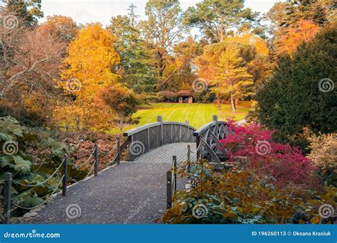 Beautifull Scenic Arched Wooden Bridge With Fall Leaves In Autumn