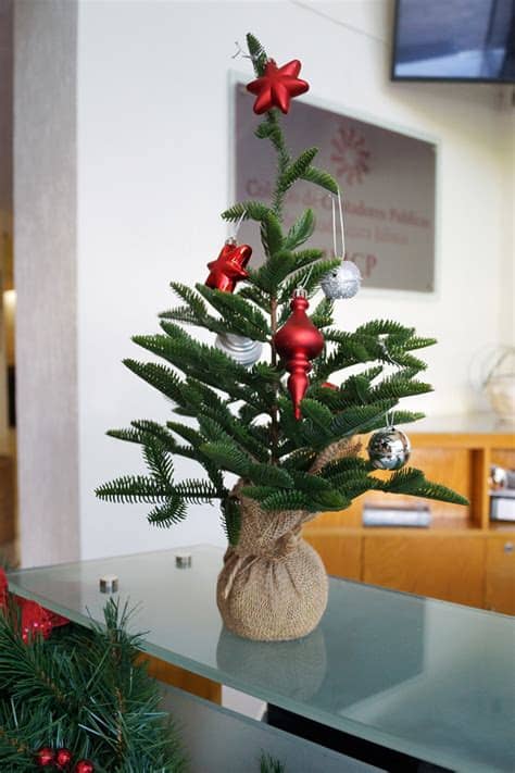 Se acerca la cena de nochebuena y las comidas de navidad y san esteban y en muchas casas ya han comenzado los nervios para la organización de los por ese motivo, hoy hemos preparado 19 menús completos, 19 ideas para tu menú de navidad que pueden ayudarte a inspirarte con el tuyo. Decorando para la Navidad - Casa Haus