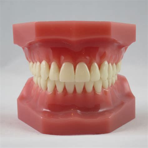 What Does An Ideal Bite Look Like Jorgensen Orthodontics