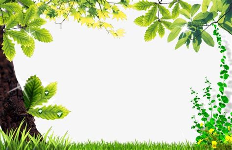 Borders Clipart Nature Borders Nature Transparent Free For Download On