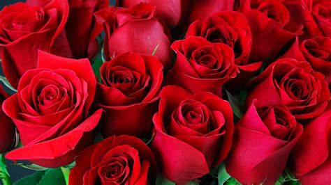 Valentinstag Bitte Nicht Schon Wieder Rosen 2cyou