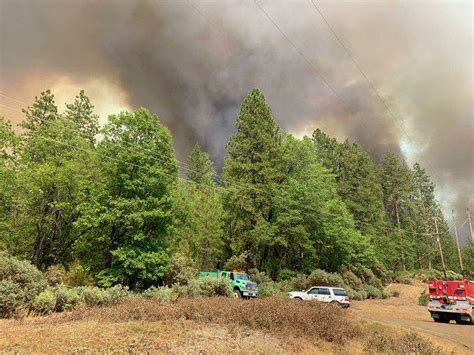 Salt Fire In Shasta County Scorches 1000 Acres Amid Hot Windy Conditions