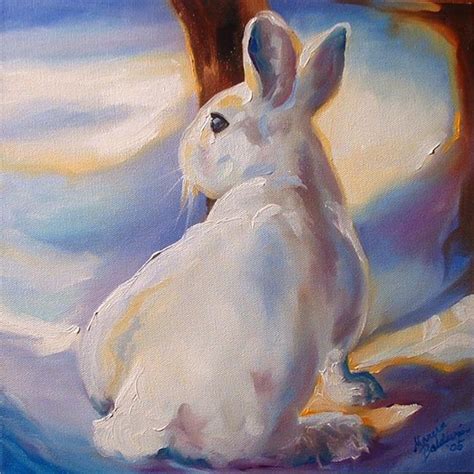 A Snow Bunny By Marcia Baldwin From Wildlife