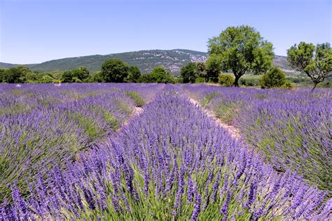 5 Things To Do In Ardèche Southern France