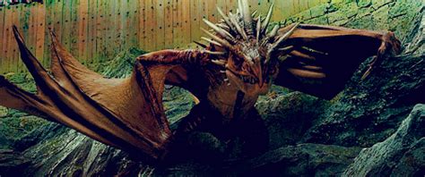 This dragon was the reader's first glimpse of one in the harry potter series. Dragon Studies