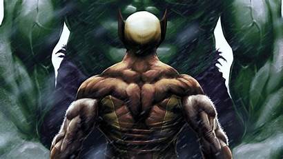 Hulk Wolverine Wallpapers Resolution 1440p Artwork Superheroes