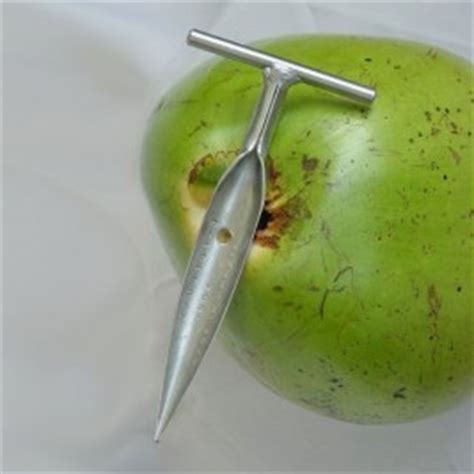 How to extricate the meat. Metal Coconut Opener - Florida Coconuts - Store