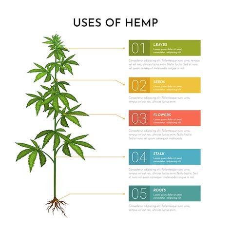 free vector uses of hemp infographic template