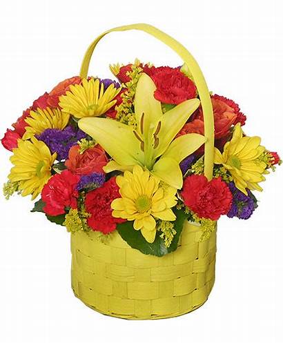 Basket Bright Sunny Floral Arrangement Flower Flowers