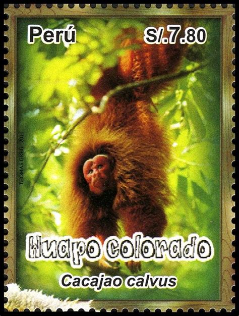 Perú Año 2011 Primates Del Perú Huapo Colorado Primates Sellos
