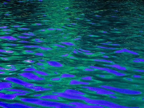 Blue Color Splash Iv Color Photograph By C A Hoffman