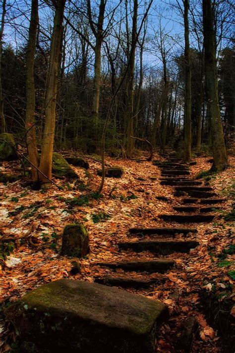 Stairway To Heaven By Marcus Woida Stairway To Heaven Autumn Scenery