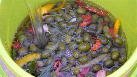 Cómo hacer ACEITUNAS ALIÑADAS paso a paso