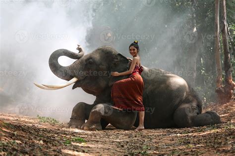 Elephant With Beautiful Girl In Asian Countryside Thailand Thai Elephant And Pretty Woman