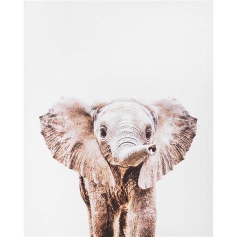 Maybe you would like to learn more about one of these? Elephant Canvas Wall Art, 16" x 20" | At Home