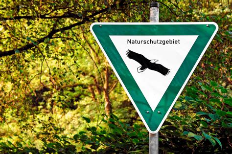Naturschutz Eu Kommission Verklagt Deutschland Pirsch