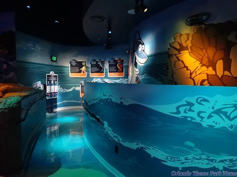 Sea Life Aquarium Orlando Photo Gallery Part 3 Orlando