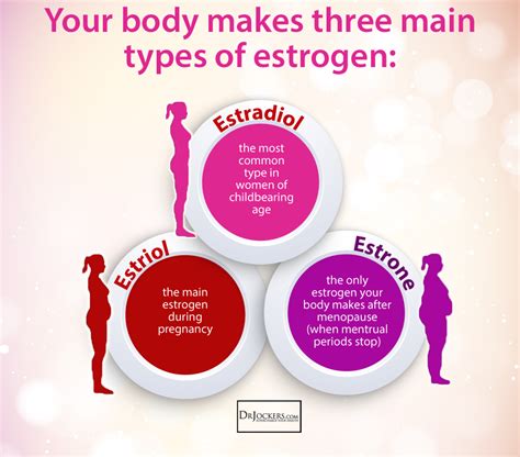 types of estrogen low estrogen low estrogen symptoms estrogen hormone
