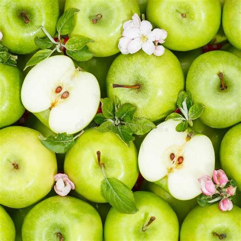 Apples Fruits Green Apple Fruit Square Background With Leaves And