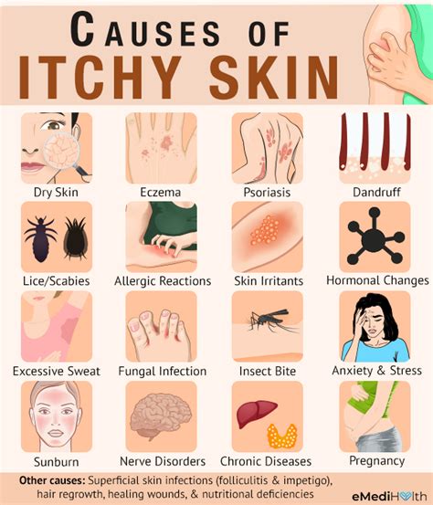 What Causes Itchy Skin Pruritis And How To Treat It