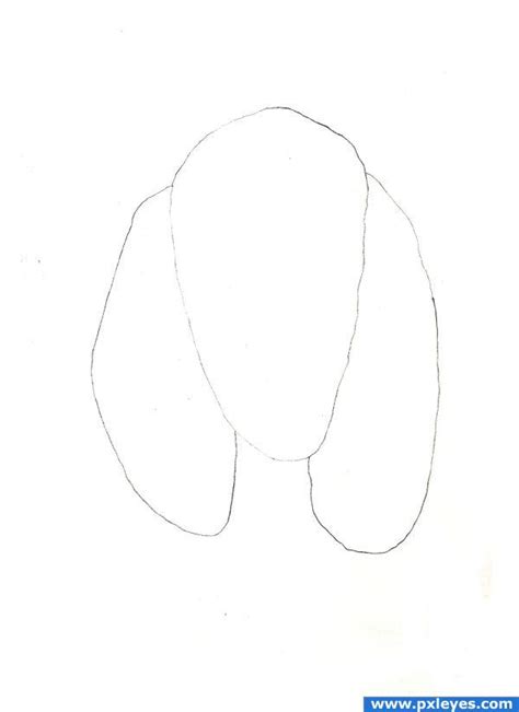 Here are some facts about the dog you might find interesting. CAR MODIVES: how to draw a dog head