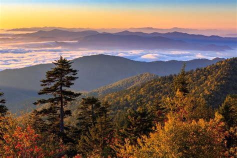 7 Of The Best Places To See The Fall Colors In The Smoky