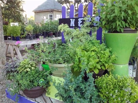 An overview allows us to either choose to imitate history, imitate nature, or do something else entirely. Work Herbs into your Existing Landscape - Alden Lane Nursery