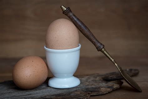 무료 이미지 식품 아침 식사 닫기 조명 먹다 숟가락 계란 영양물 섭취 음식 사진 타원 닭고기 달걀 갈색