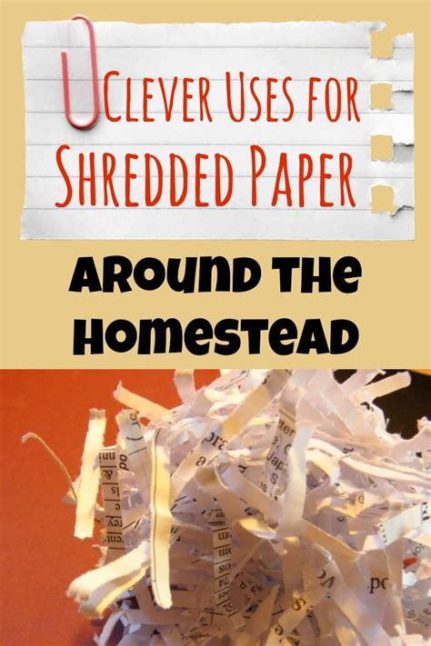 14 Clever Uses For Shredded Paper Around The Homestead