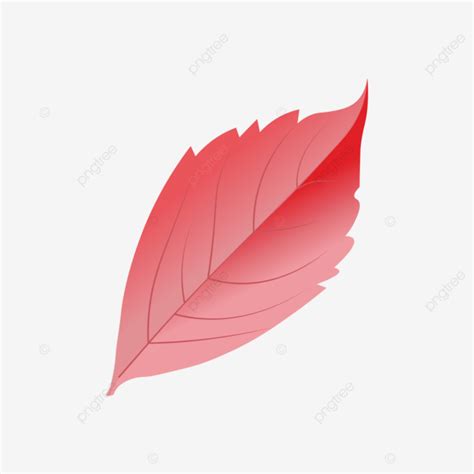 Autumn Leaves Icon Desgn Autumn Hello Autumn Leaves Png And Vector