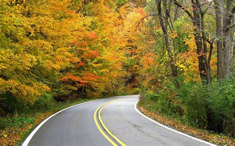 12 Of Michigans Most Dazzling Fall Color Drives
