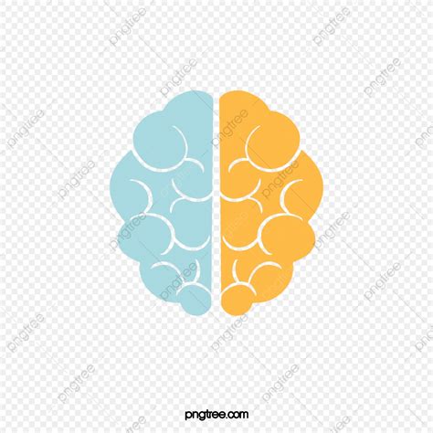 Human Brain Orange Brain, Human Brain, Orange Brain, Brain 