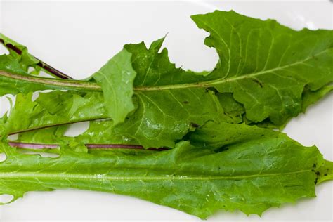 What Do Bitter Greens Add To A Healthy Whole Food Diet Think Eat