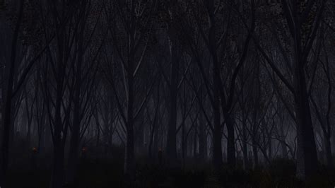Download Wallpaper Forest Trees Background Dark 4k Ultra By Audreyp