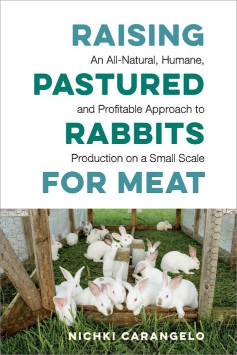 Why You Should Raise Rabbits Modern Farmer Raising Rabbits Raising