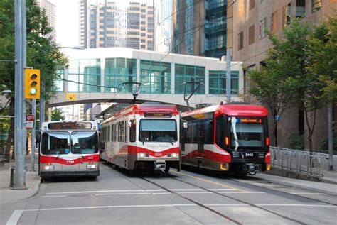 Calgary Transit Bus And Lrvs Light Rail Vehicle Light Rail Train