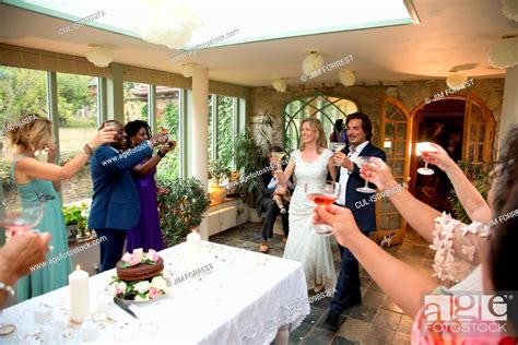 Wedding Guests Toasting To Newlyweds At Reception Stock Photo Picture