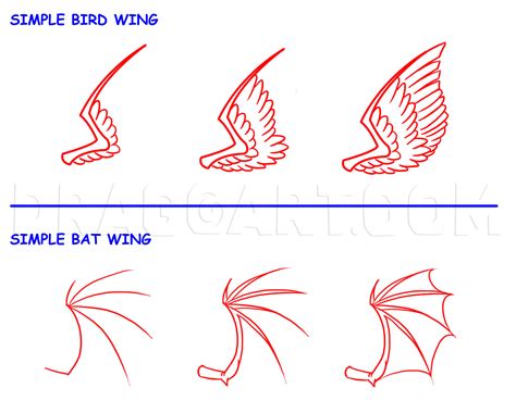 How To Draw Wings Step By Step Drawing Guide By Kingtutorial Dragoart
