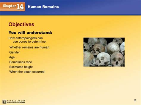 Ppt Human Remains Powerpoint Presentation Free Download Id 1150238