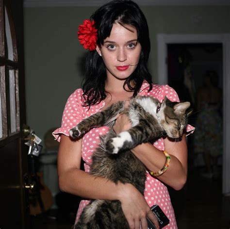 Katy Perry Left Heartbroken After Her Cat Kitty Purry Dies The Us Sun