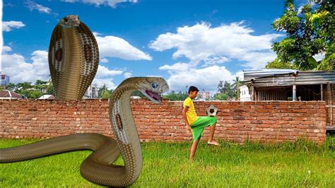 Big Anaconda Snake Attack In Real Life Hd Video Part 25 Vfx Movie