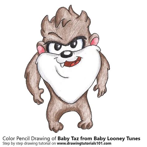 How To Draw Baby Taz From Baby Looney Tunes Baby Looney Tunes Step By