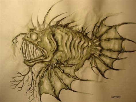 Fish Sketch Angler Fish Tattoo Fish Art