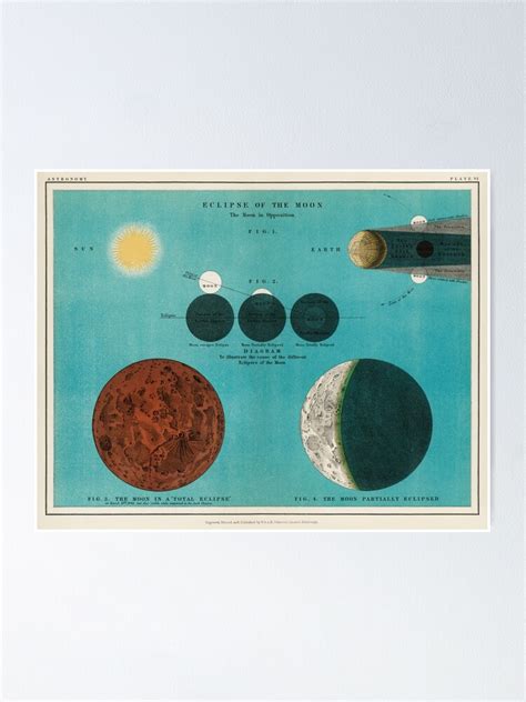 Vintage Solar System Poster Poster By Lilyvermilya Redbubble