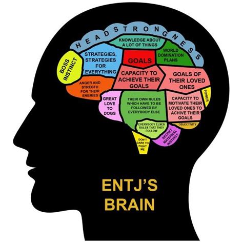 Dissecting An Nt Brain Mbti Personality Types Tests Quotes More