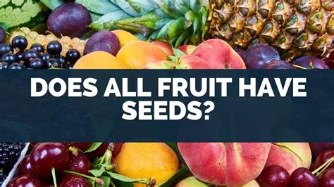 Does All Fruit Have Seeds Interesting List