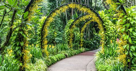 Finest Botanical Gardens Around The World And Their Fascinating Plants