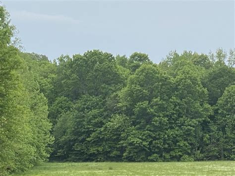 5 acres in Pope County, Arkansas