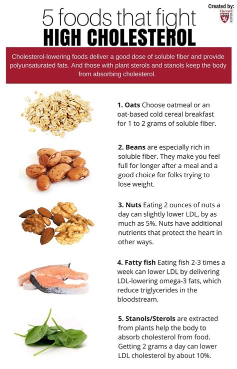 Foods That Help Lower Cholesterol Examples And Forms